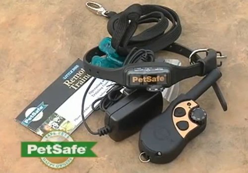 PetSafe Little Dog Remote Trainer Overview